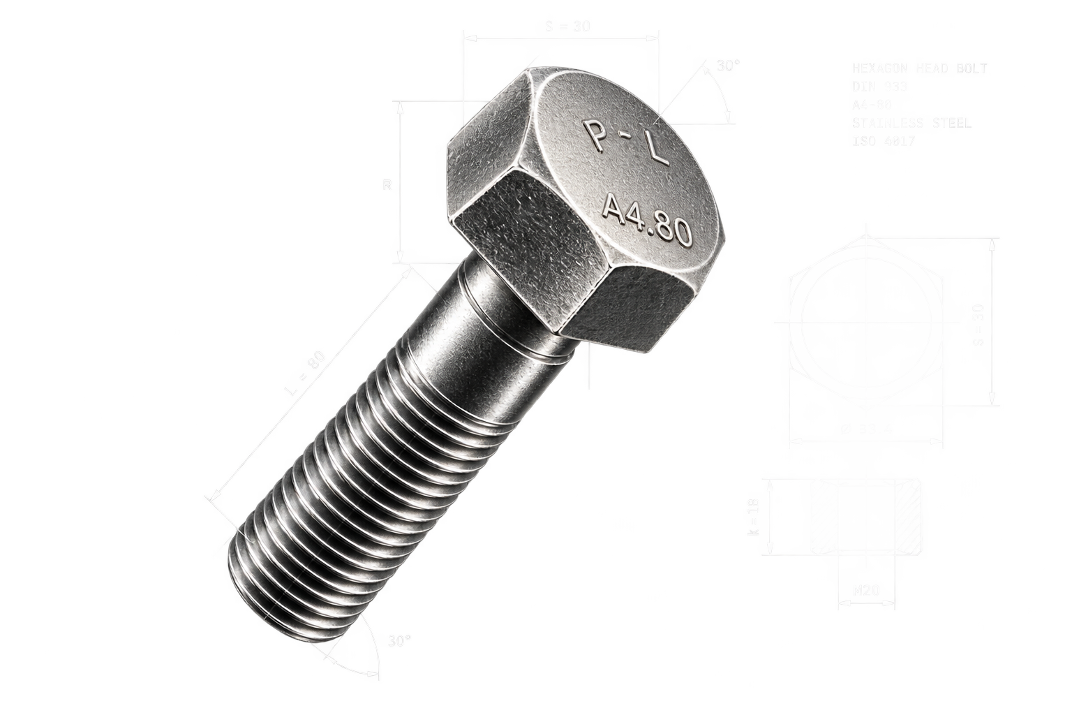 Technical illustration of an Anchor Pro stainless steel bolt